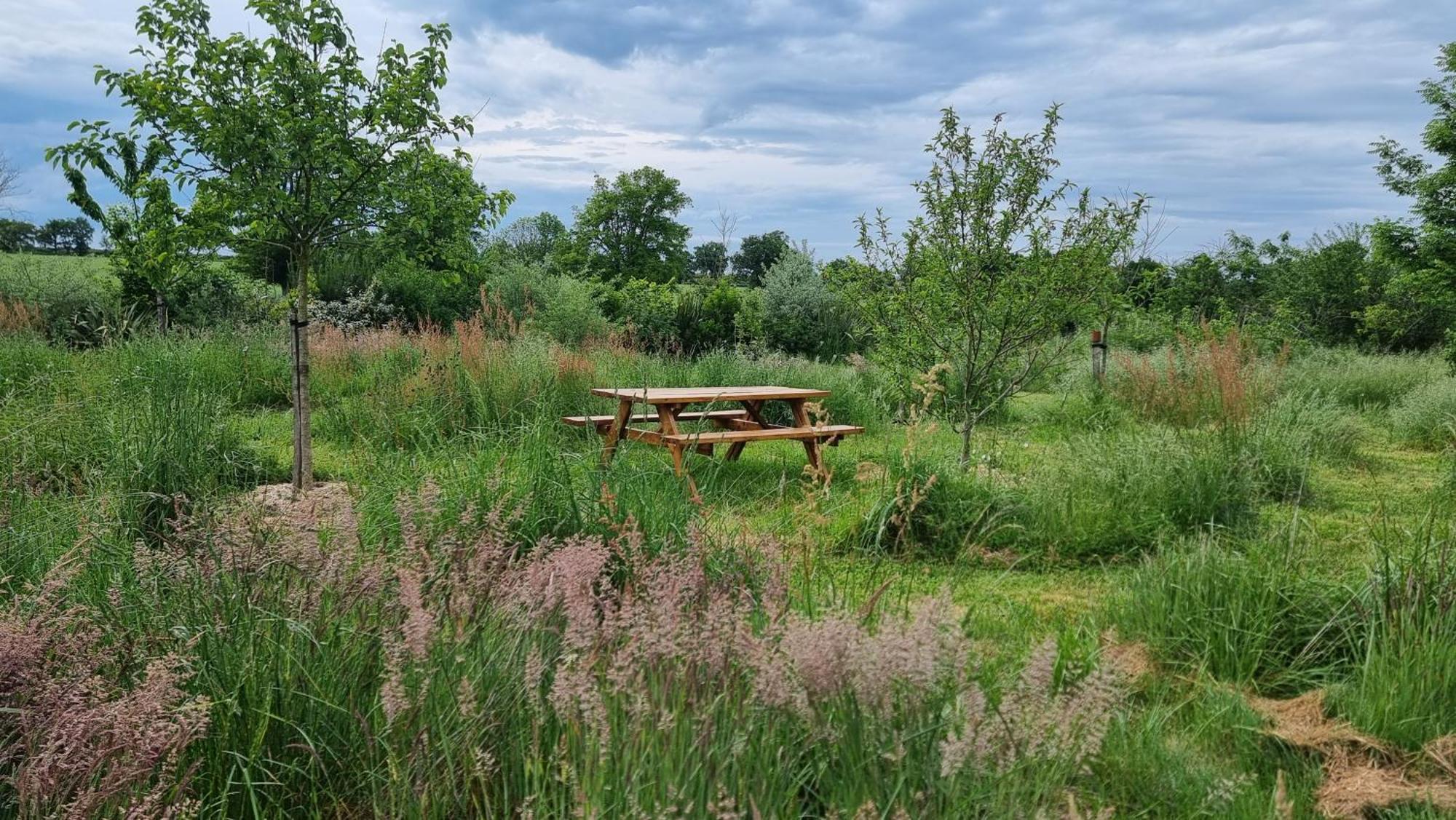 Chambres Et Gite Dans Un Lieu Calme Et Champetre Gourge Les Grippeaux Proche Parthenay Esterno foto